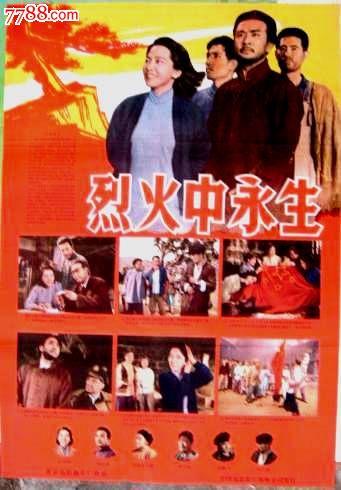 怎么买假的育空地区